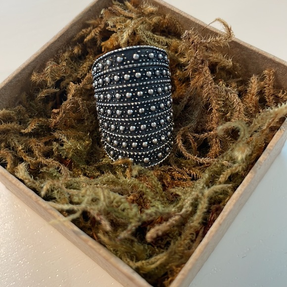 Sundance Armadillo Ring - Picture 3 of 4